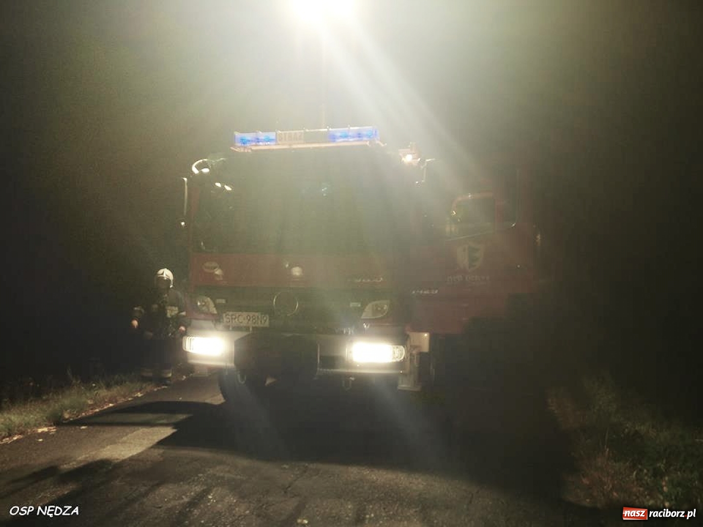 Zdjęcie w galerii na portalu naszraciborz.pl: Powalone drzewo, owady i przypalony obiad. Środa raciborskich strażaków wiadomości z regionu