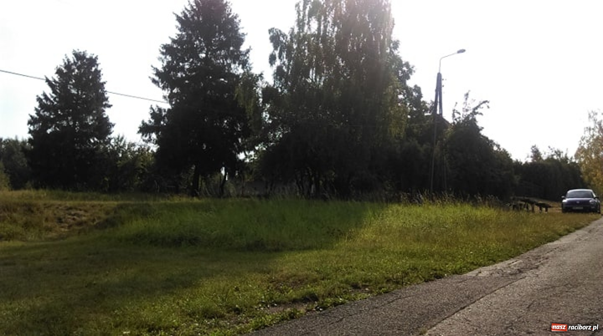 Zdjęcie w galerii na portalu naszraciborz.pl: Gmina sprzedaje architektoniczną perełkę z lat. 30. Nie żąda wiele wiadomości z regionu