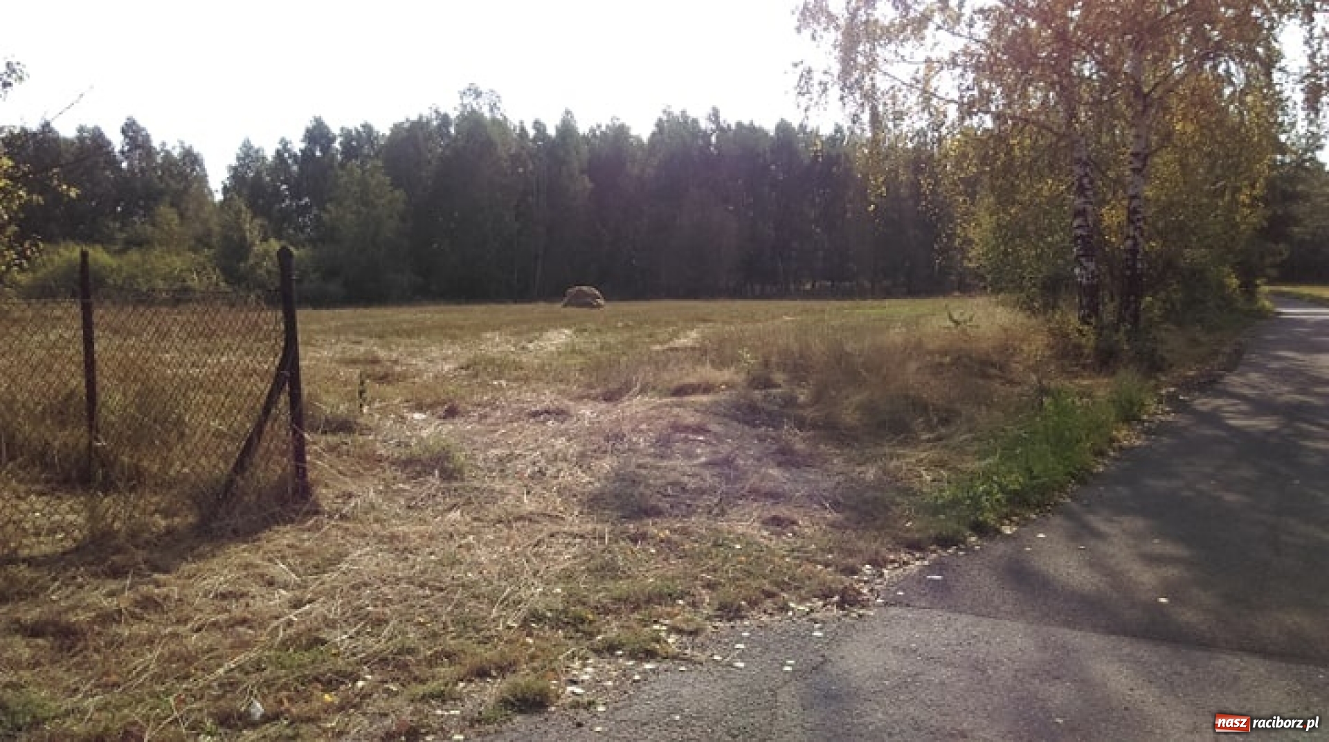 Zdjęcie w galerii na portalu naszraciborz.pl: Gmina sprzedaje architektoniczną perełkę z lat. 30. Nie żąda wiele wiadomości z regionu