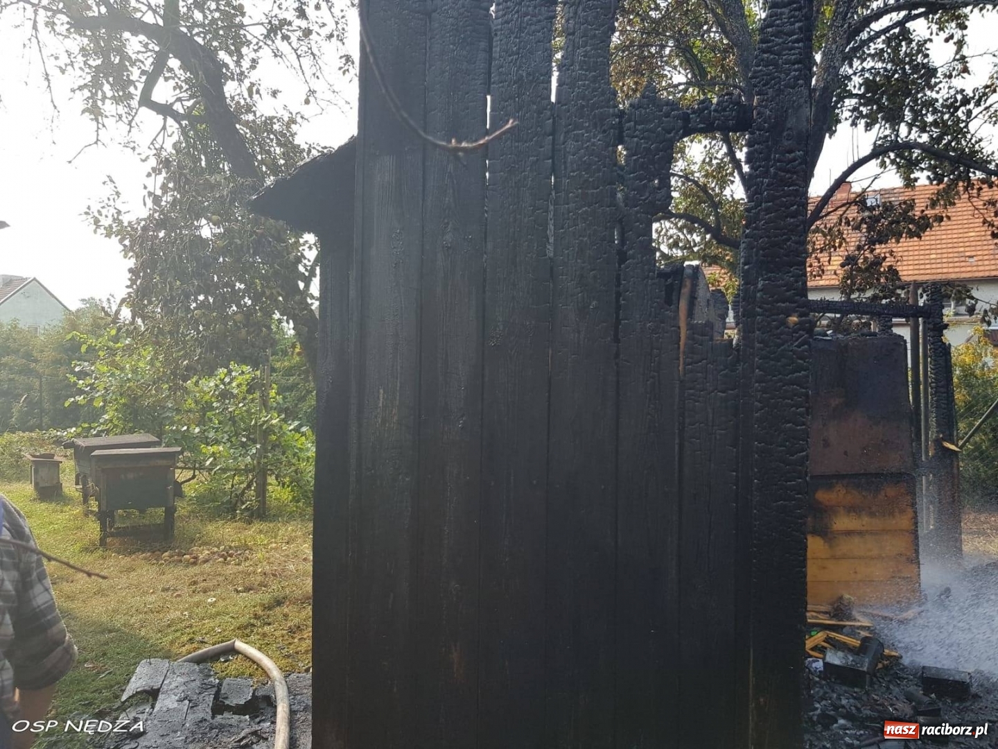 Zdjęcie w galerii na portalu naszraciborz.pl: W Nędzy spłonęły ule z rojami wiadomości z regionu