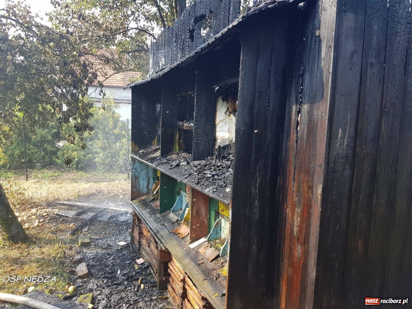 Zdjęcie w galerii na portalu naszraciborz.pl: W Nędzy spłonęły ule z rojami wiadomości z regionu