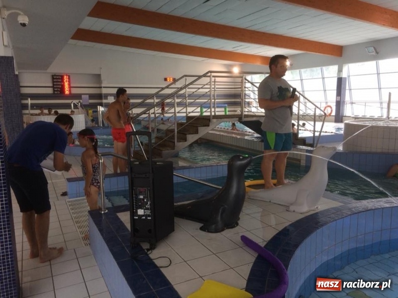 Zdjęcie w galerii na portalu naszraciborz.pl: Wakacyjne zjazdy rurami w H2Ostróg wiadomości z regionu