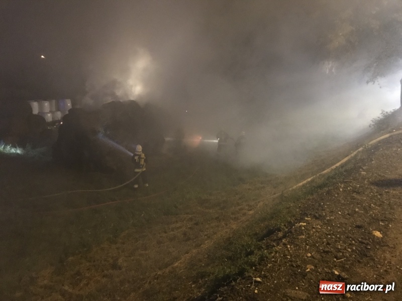 Zdjęcie w galerii na portalu naszraciborz.pl: Ogromne zadymienie wskutek pożaru na granicy Rzuchowa i Kornowaca wiadomości z regionu