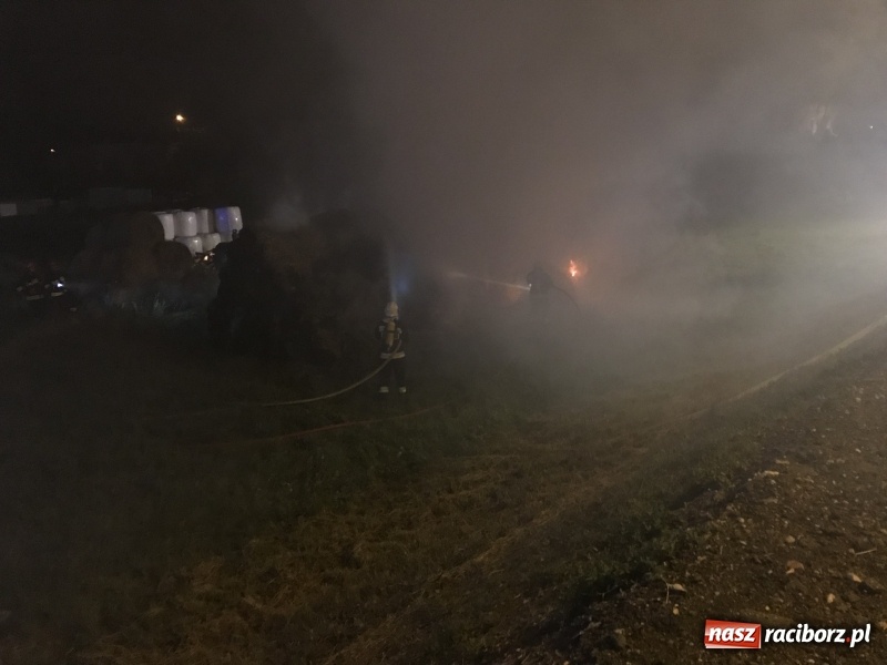 Zdjęcie w galerii na portalu naszraciborz.pl: Ogromne zadymienie wskutek pożaru na granicy Rzuchowa i Kornowaca wiadomości z regionu