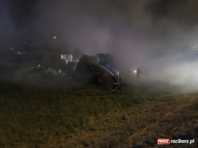 Zdjęcie w galerii na portalu naszraciborz.pl: Ogromne zadymienie wskutek pożaru na granicy Rzuchowa i Kornowaca wiadomości z regionu