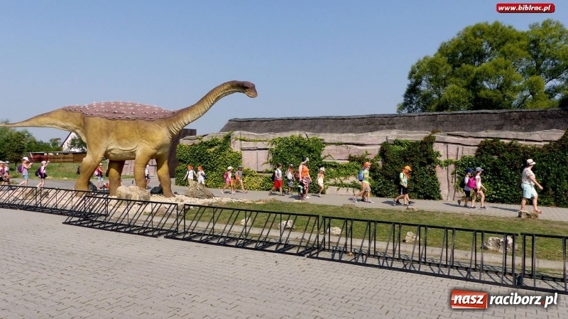 Zdjęcie w galerii na portalu naszraciborz.pl: Paleontologia dla poczatkujących – wycieczka do Krasiejowa wiadomości z regionu