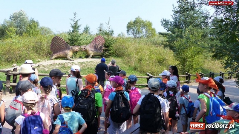 Zdjęcie w galerii na portalu naszraciborz.pl: Paleontologia dla poczatkujących – wycieczka do Krasiejowa wiadomości z regionu