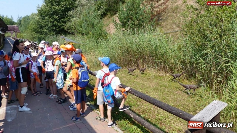 Zdjęcie w galerii na portalu naszraciborz.pl: Paleontologia dla poczatkujących – wycieczka do Krasiejowa wiadomości z regionu