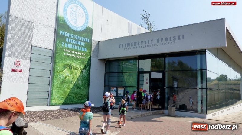 Zdjęcie w galerii na portalu naszraciborz.pl: Paleontologia dla poczatkujących – wycieczka do Krasiejowa wiadomości z regionu