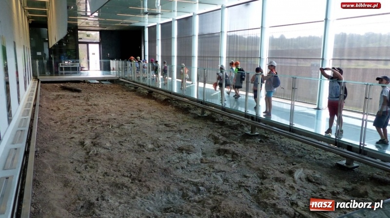 Zdjęcie w galerii na portalu naszraciborz.pl: Paleontologia dla poczatkujących – wycieczka do Krasiejowa wiadomości z regionu