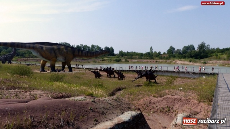 Zdjęcie w galerii na portalu naszraciborz.pl: Paleontologia dla poczatkujących – wycieczka do Krasiejowa wiadomości z regionu
