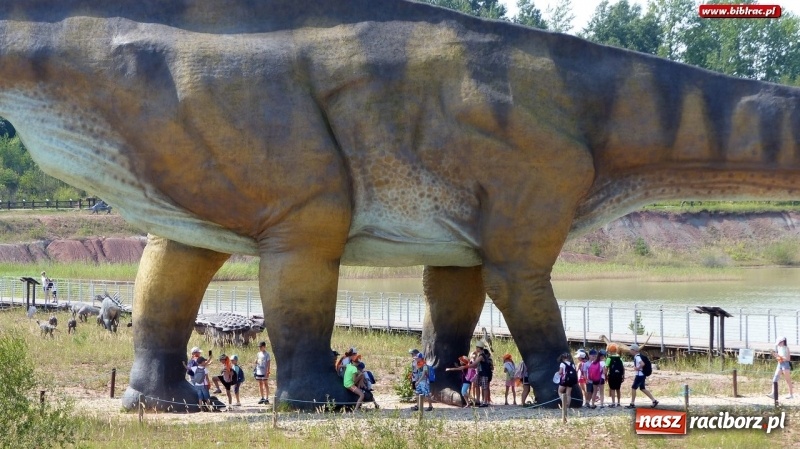 Zdjęcie w galerii na portalu naszraciborz.pl: Paleontologia dla poczatkujących – wycieczka do Krasiejowa wiadomości z regionu