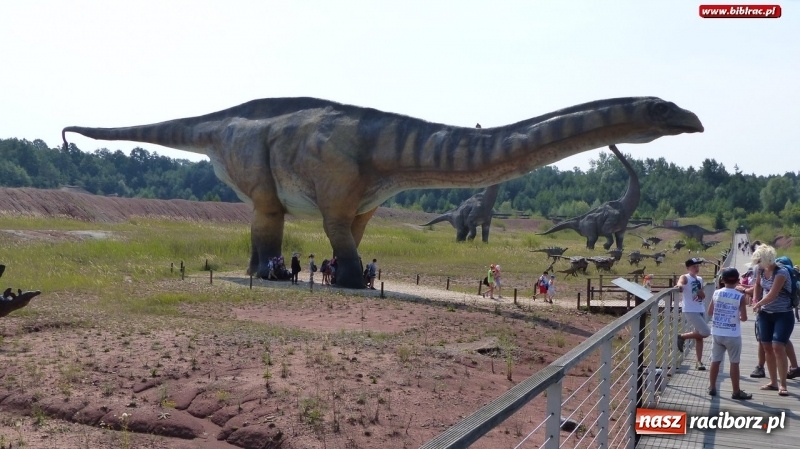 Zdjęcie w galerii na portalu naszraciborz.pl: Paleontologia dla poczatkujących – wycieczka do Krasiejowa wiadomości z regionu