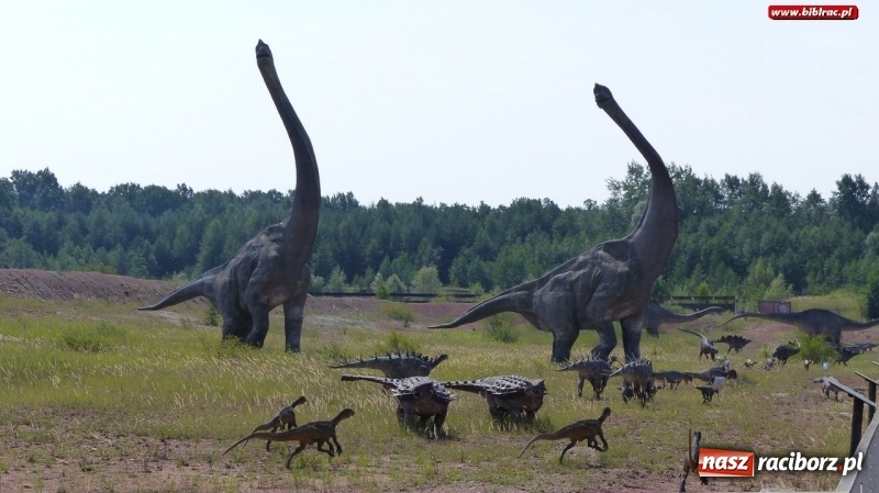 Zdjęcie w galerii na portalu naszraciborz.pl: Paleontologia dla poczatkujących – wycieczka do Krasiejowa wiadomości z regionu