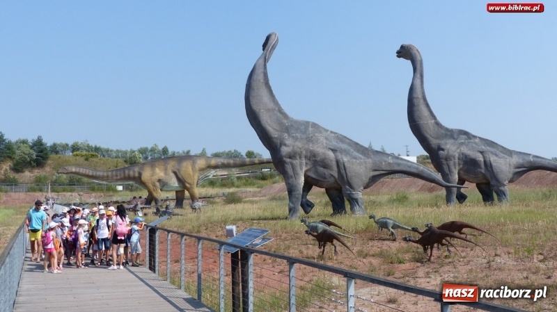 Zdjęcie w galerii na portalu naszraciborz.pl: Paleontologia dla poczatkujących – wycieczka do Krasiejowa wiadomości z regionu