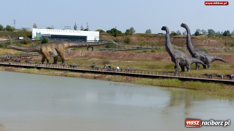 Zdjęcie w galerii na portalu naszraciborz.pl: Paleontologia dla poczatkujących – wycieczka do Krasiejowa wiadomości z regionu