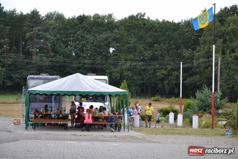 Zdjęcie w galerii na portalu naszraciborz.pl: Olimpiada Sportowa zakończyła Akcję Lato 2018  wiadomości z regionu