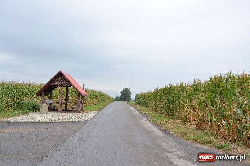 Zdjęcie w galerii na portalu naszraciborz.pl: Krzyżanowice. Gminny rajd rowerowy z firmą Alas Utex  wiadomości z regionu