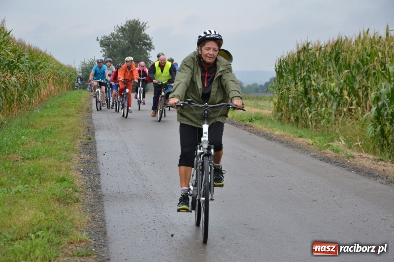Zdjęcie w galerii na portalu naszraciborz.pl: Krzyżanowice. Gminny rajd rowerowy z firmą Alas Utex  wiadomości z regionu