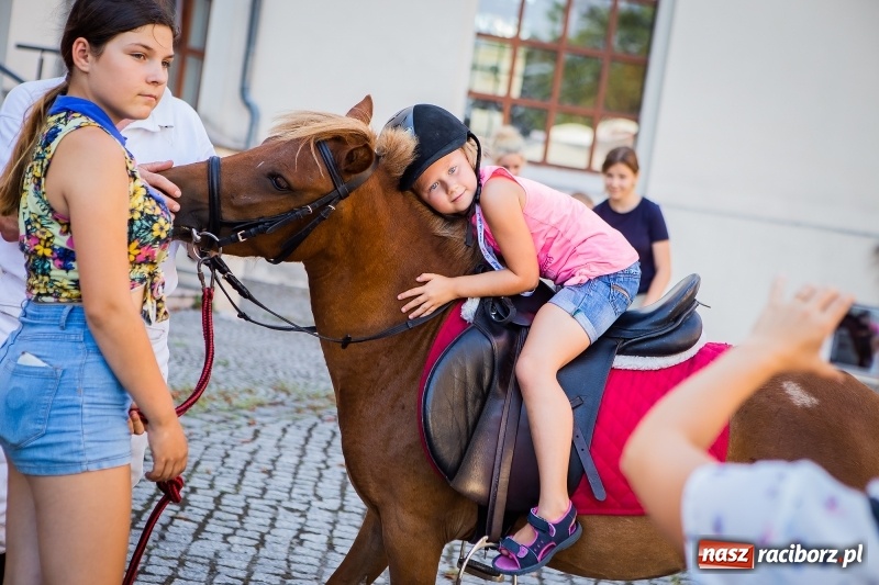 Zdjęcie w galerii na portalu naszraciborz.pl: Wspaniały urodzinowy prezent dla Super Fifka  wiadomości z regionu