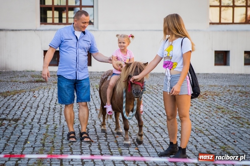 Zdjęcie w galerii na portalu naszraciborz.pl: Wspaniały urodzinowy prezent dla Super Fifka  wiadomości z regionu