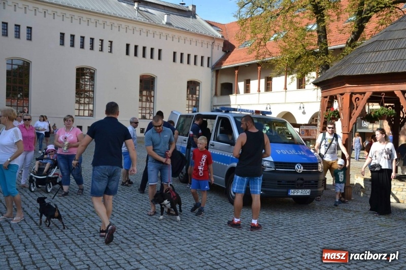 Zdjęcie w galerii na portalu naszraciborz.pl: Wspaniały urodzinowy prezent dla Super Fifka  wiadomości z regionu