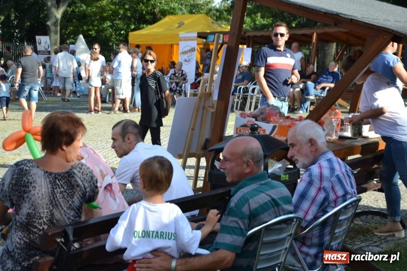 Zdjęcie w galerii na portalu naszraciborz.pl: Wspaniały urodzinowy prezent dla Super Fifka  wiadomości z regionu