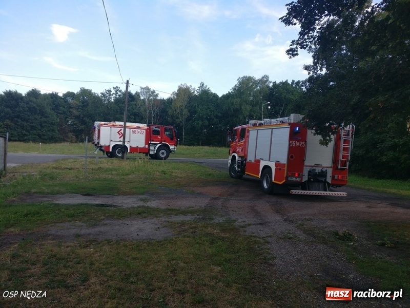 Zdjęcie w galerii na portalu naszraciborz.pl: Pożar w zakładzie produkcyjnym, uwięziona sarna i silne zadymienie. Weekend raciborskich strażaków wiadomości z regionu