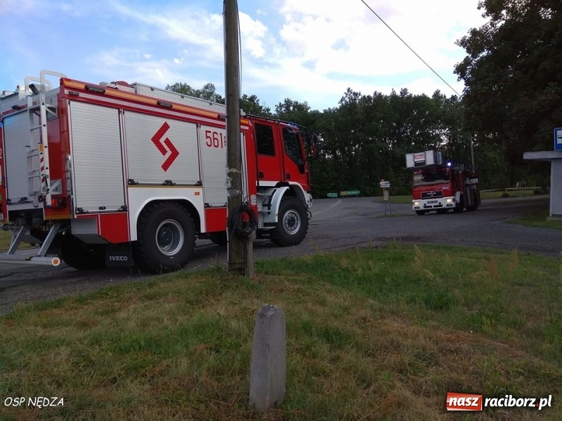 Zdjęcie w galerii na portalu naszraciborz.pl: Pożar w zakładzie produkcyjnym, uwięziona sarna i silne zadymienie. Weekend raciborskich strażaków wiadomości z regionu