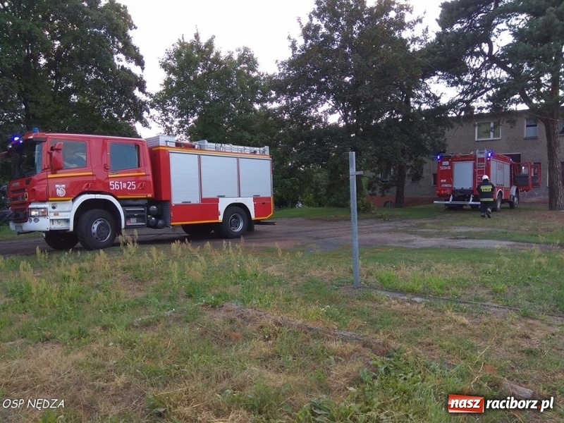 Zdjęcie w galerii na portalu naszraciborz.pl: Pożar w zakładzie produkcyjnym, uwięziona sarna i silne zadymienie. Weekend raciborskich strażaków wiadomości z regionu