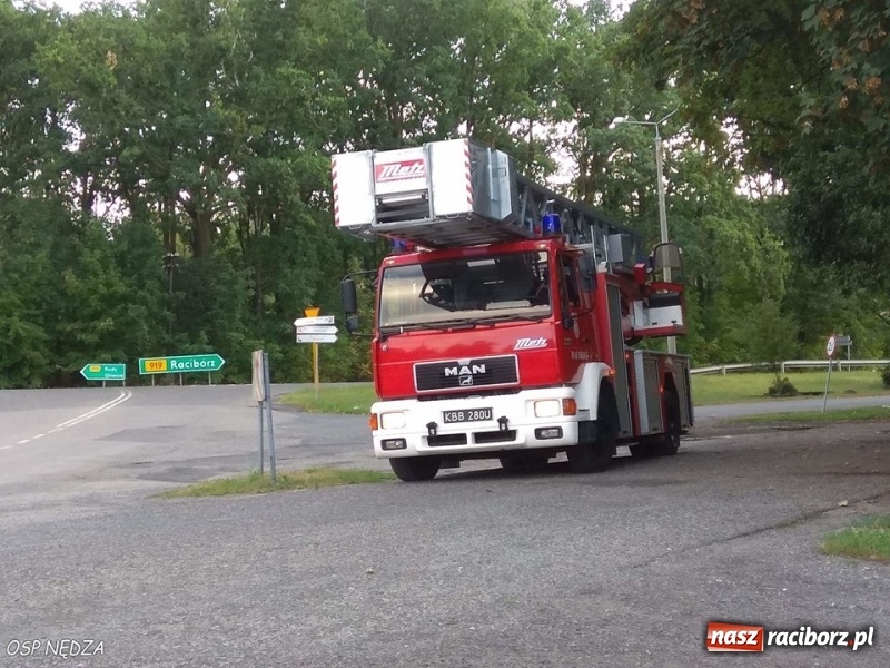 Zdjęcie w galerii na portalu naszraciborz.pl: Pożar w zakładzie produkcyjnym, uwięziona sarna i silne zadymienie. Weekend raciborskich strażaków wiadomości z regionu