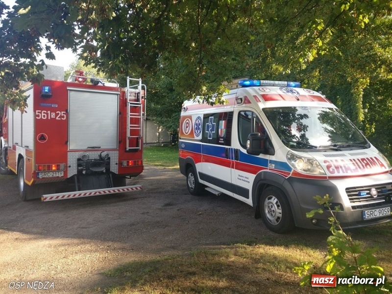 Zdjęcie w galerii na portalu naszraciborz.pl: Pożar w zakładzie produkcyjnym, uwięziona sarna i silne zadymienie. Weekend raciborskich strażaków wiadomości z regionu