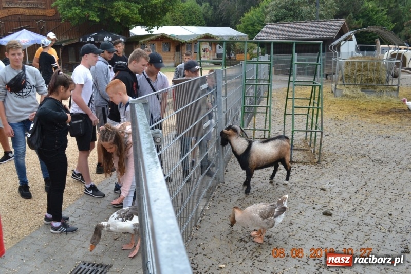 Zdjęcie w galerii na portalu naszraciborz.pl: Zapaśnicy Unii Racibórz przebywali na zgrupowaniu w Niemczech wiadomości z regionu