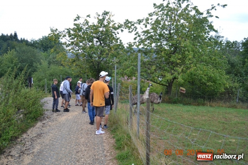 Zdjęcie w galerii na portalu naszraciborz.pl: Zapaśnicy Unii Racibórz przebywali na zgrupowaniu w Niemczech wiadomości z regionu
