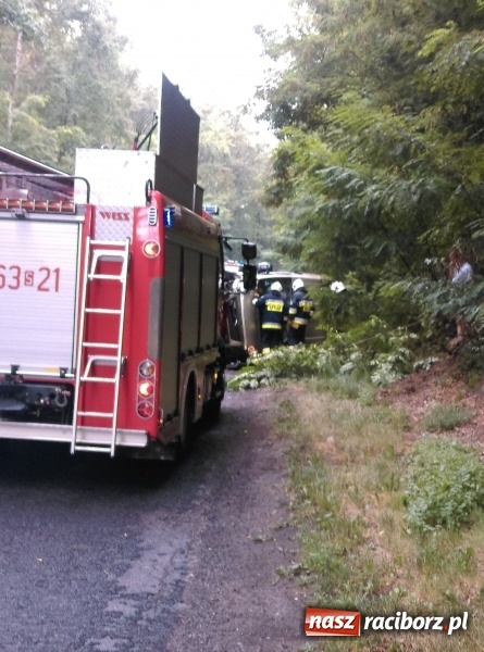 Zdjęcie w galerii na portalu naszraciborz.pl: Citroen Jumper wypadł z drogi na DW 935  wiadomości z regionu