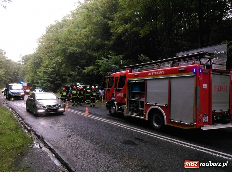 Zdjęcie w galerii na portalu naszraciborz.pl: Citroen Jumper wypadł z drogi na DW 935  wiadomości z regionu