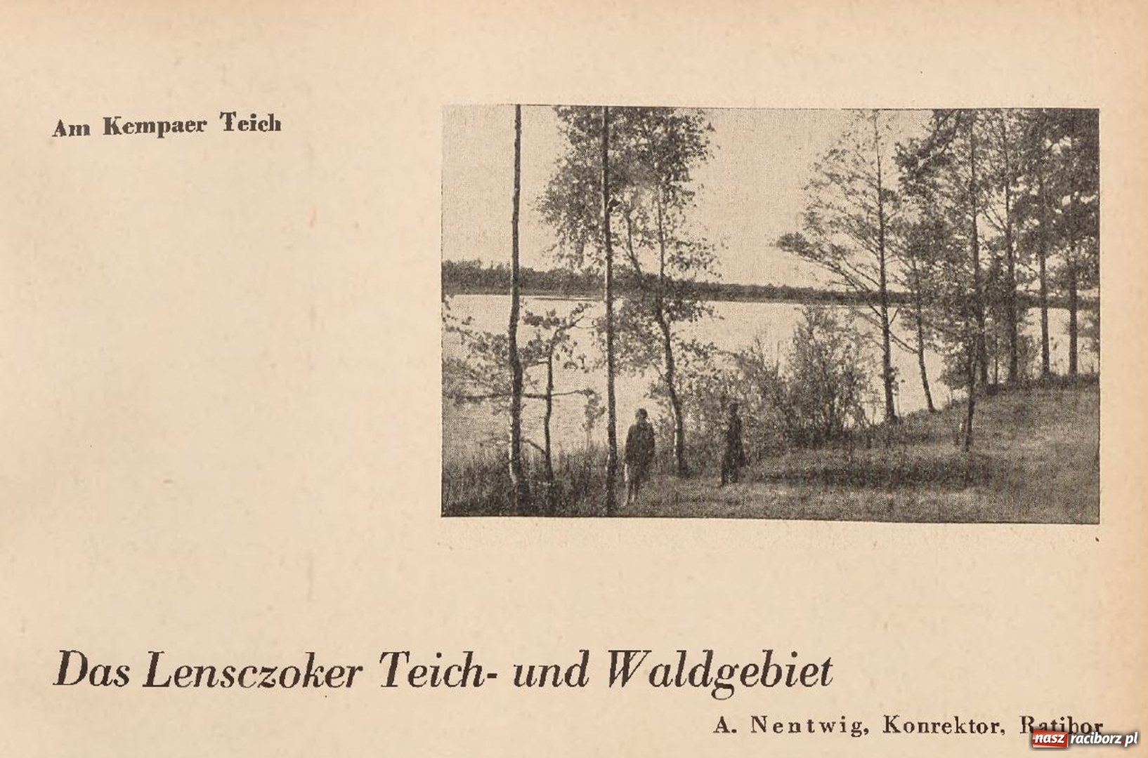 Zdjęcie w galerii na portalu naszraciborz.pl: Powiat raciborski na starej fotografii  wiadomości z regionu