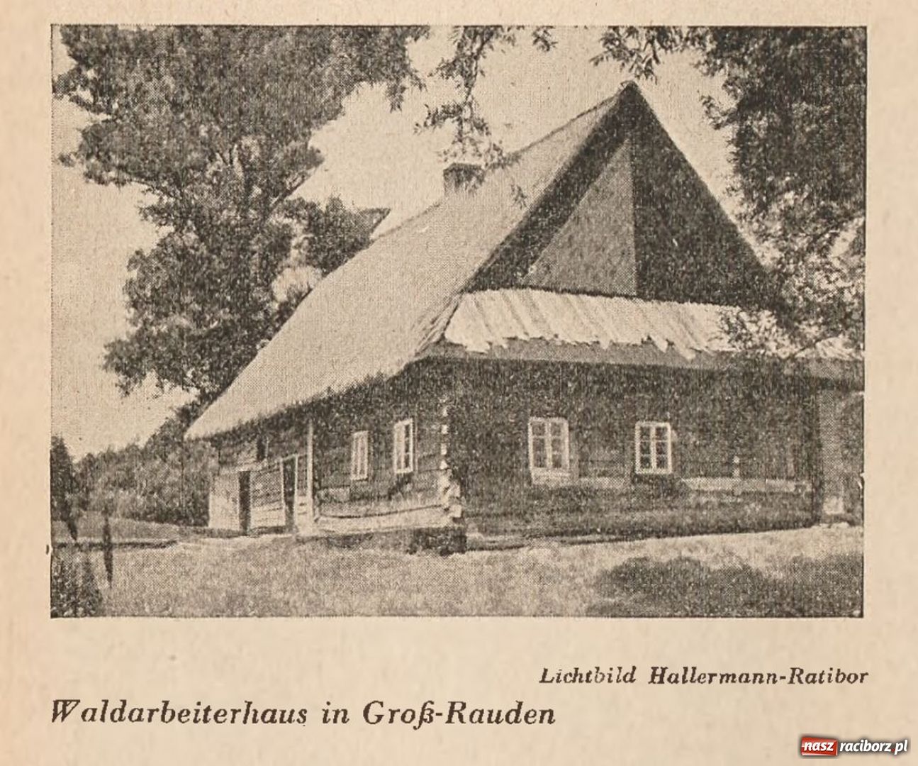 Zdjęcie w galerii na portalu naszraciborz.pl: Powiat raciborski na starej fotografii  wiadomości z regionu