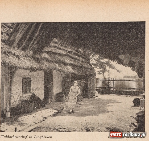 Zdjęcie w galerii na portalu naszraciborz.pl: Powiat raciborski na starej fotografii  wiadomości z regionu