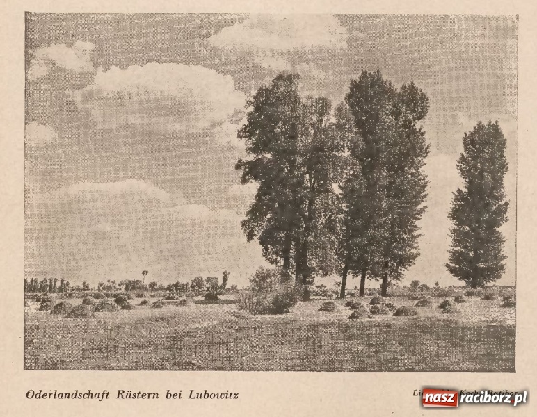 Zdjęcie w galerii na portalu naszraciborz.pl: Powiat raciborski na starej fotografii  wiadomości z regionu