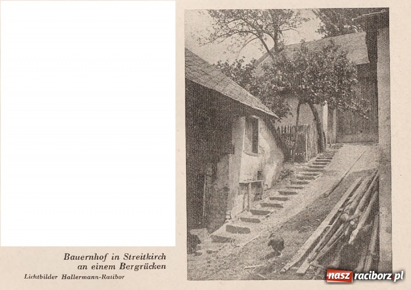 Zdjęcie w galerii na portalu naszraciborz.pl: Powiat raciborski na starej fotografii  wiadomości z regionu