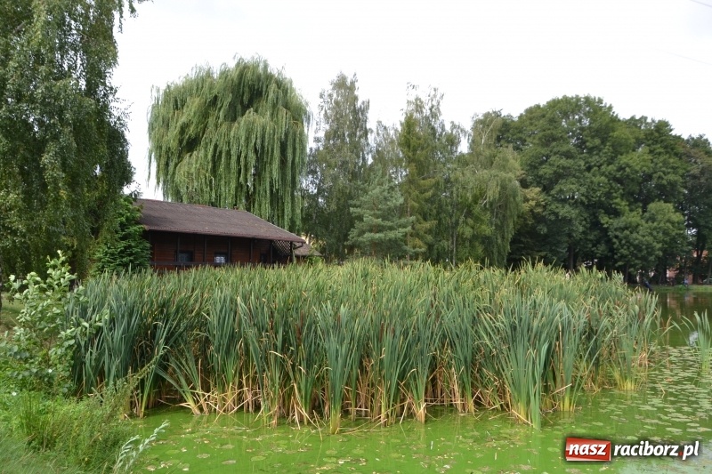 Zdjęcie w galerii na portalu naszraciborz.pl: Tworków. Drużynowe Zawody Wędkarskie z okazji 35-lecia koła wędkarskiego  wiadomości z regionu