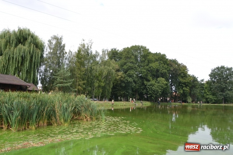 Zdjęcie w galerii na portalu naszraciborz.pl: Tworków. Drużynowe Zawody Wędkarskie z okazji 35-lecia koła wędkarskiego  wiadomości z regionu