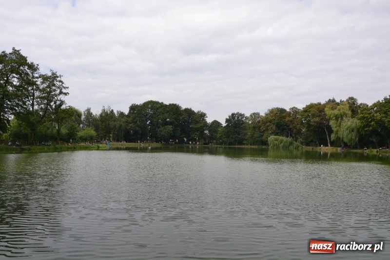 Zdjęcie w galerii na portalu naszraciborz.pl: Tworków. Drużynowe Zawody Wędkarskie z okazji 35-lecia koła wędkarskiego  wiadomości z regionu