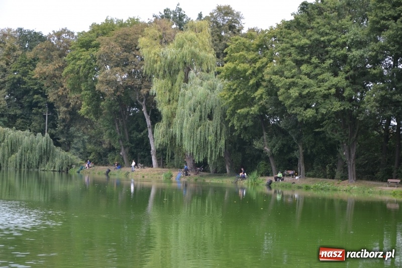 Zdjęcie w galerii na portalu naszraciborz.pl: Tworków. Drużynowe Zawody Wędkarskie z okazji 35-lecia koła wędkarskiego  wiadomości z regionu