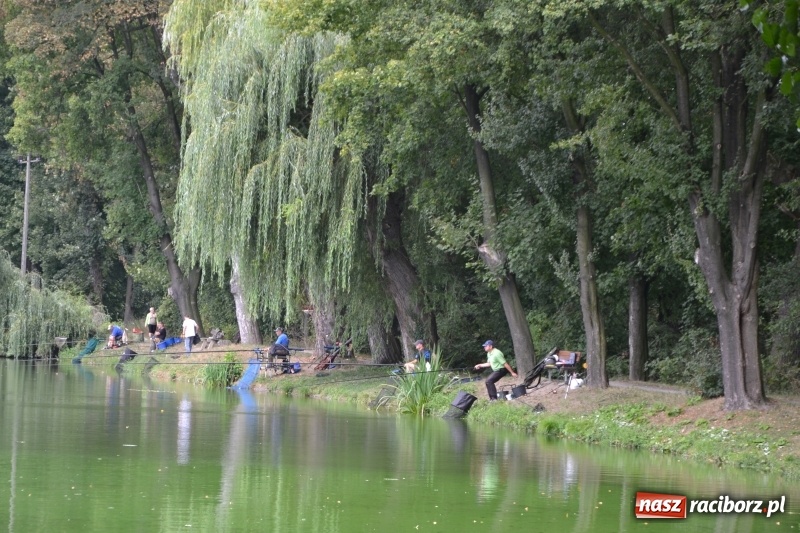 Zdjęcie w galerii na portalu naszraciborz.pl: Tworków. Drużynowe Zawody Wędkarskie z okazji 35-lecia koła wędkarskiego  wiadomości z regionu