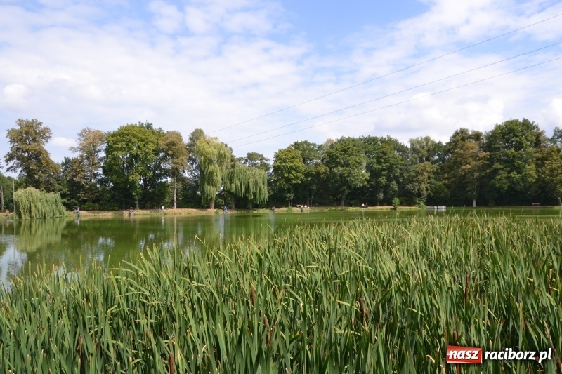Zdjęcie w galerii na portalu naszraciborz.pl: Tworków. Drużynowe Zawody Wędkarskie z okazji 35-lecia koła wędkarskiego  wiadomości z regionu