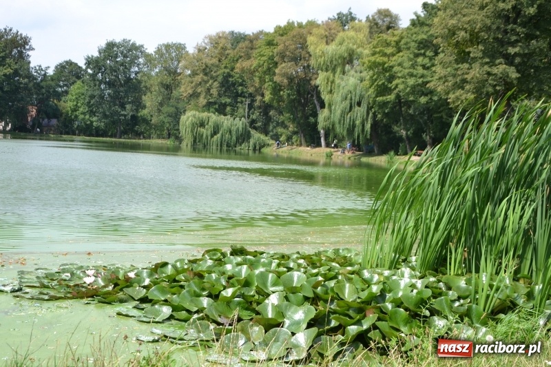 Zdjęcie w galerii na portalu naszraciborz.pl: Tworków. Drużynowe Zawody Wędkarskie z okazji 35-lecia koła wędkarskiego  wiadomości z regionu
