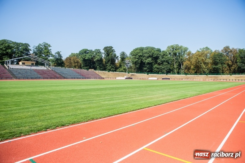 Zdjęcie w galerii na portalu naszraciborz.pl: Murawa jak na Narodowym. Dla kogo odnowiony stadion przy Zamkowej  wiadomości z regionu