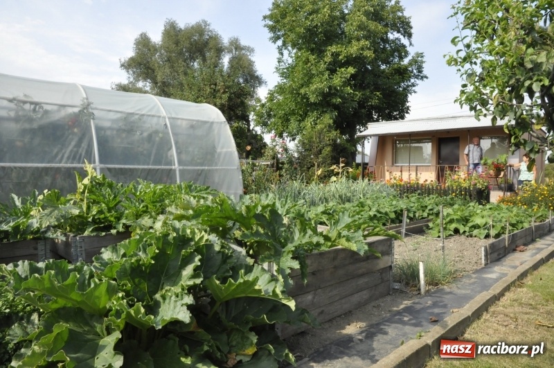 Zdjęcie w galerii na portalu naszraciborz.pl: Działkowcy z Ostroga świętują 90-lecie  wiadomości z regionu